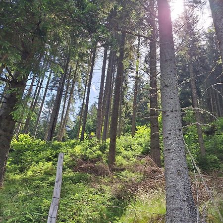 Naturpark Bauernhof Sperl Mariahof المظهر الخارجي الصورة