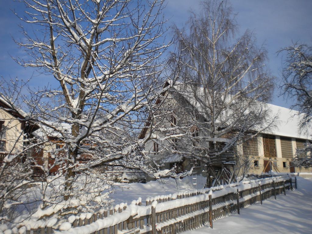 Naturpark Bauernhof Sperl Mariahof المظهر الخارجي الصورة