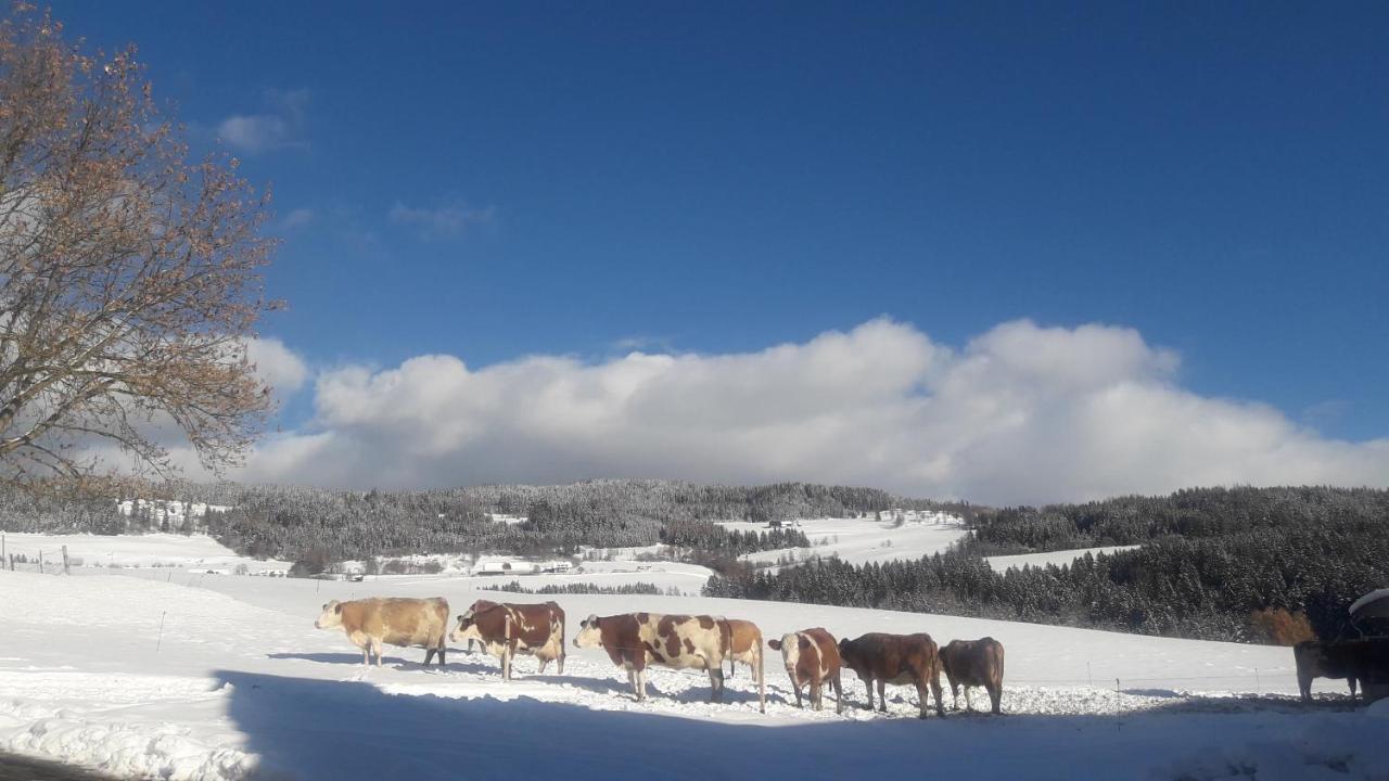Naturpark Bauernhof Sperl Mariahof المظهر الخارجي الصورة