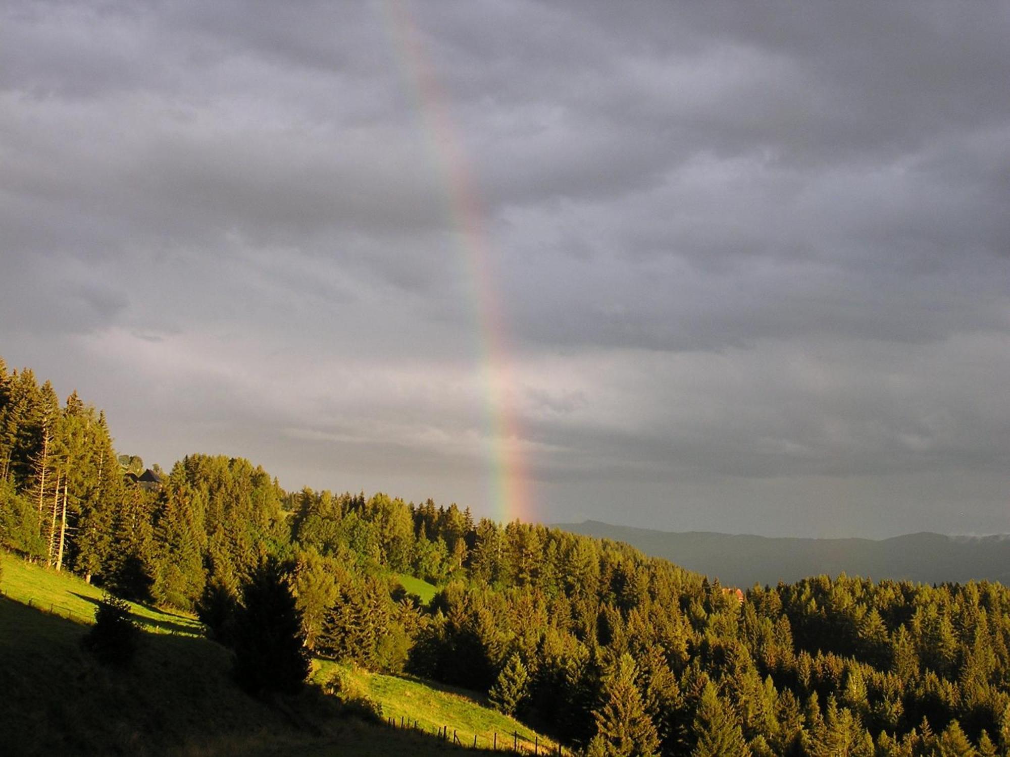 Naturpark Bauernhof Sperl Mariahof المظهر الخارجي الصورة