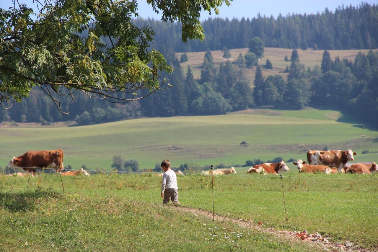 Naturpark Bauernhof Sperl Mariahof المظهر الخارجي الصورة