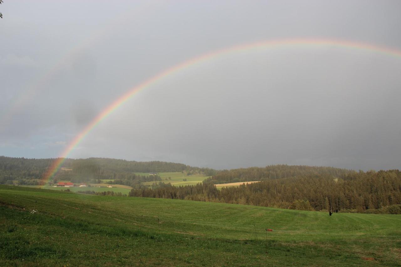 Naturpark Bauernhof Sperl Mariahof المظهر الخارجي الصورة